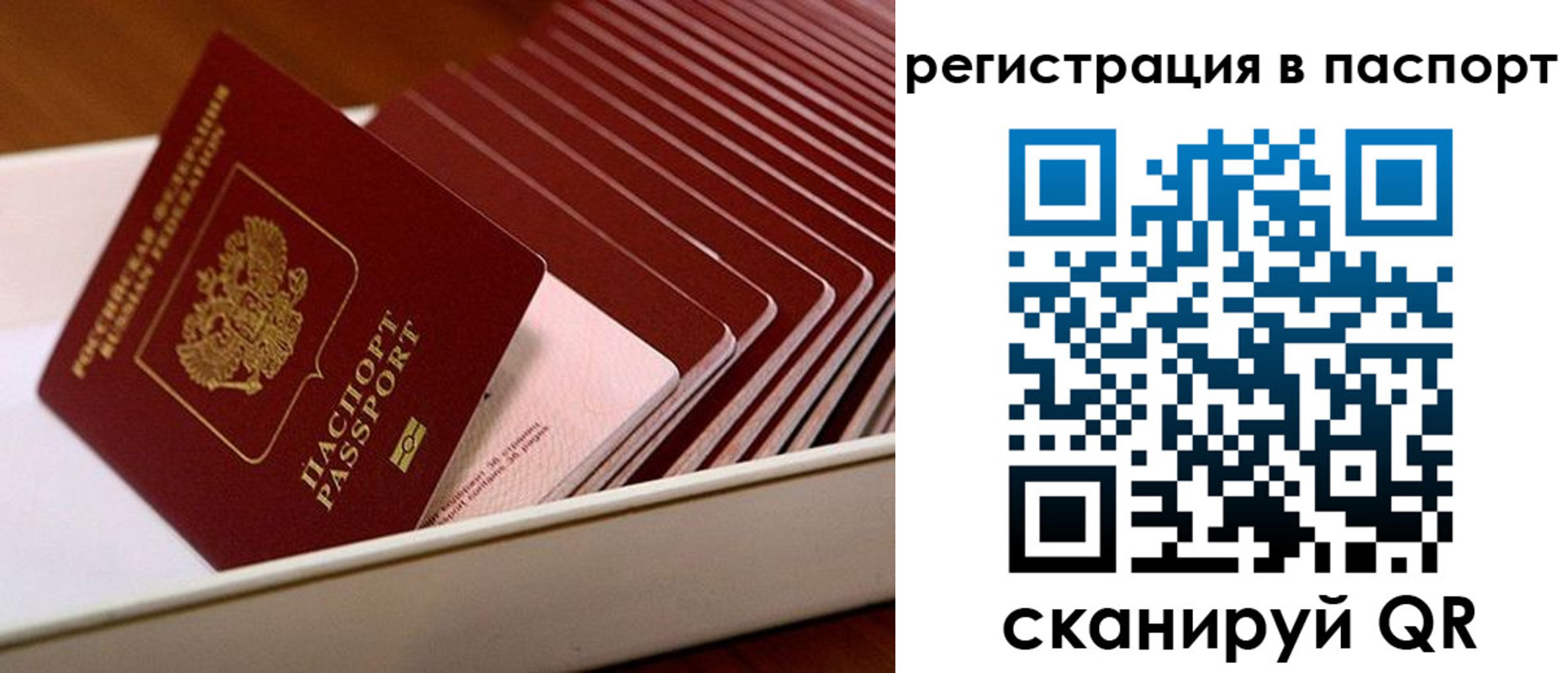форма 3 в Камышлове
