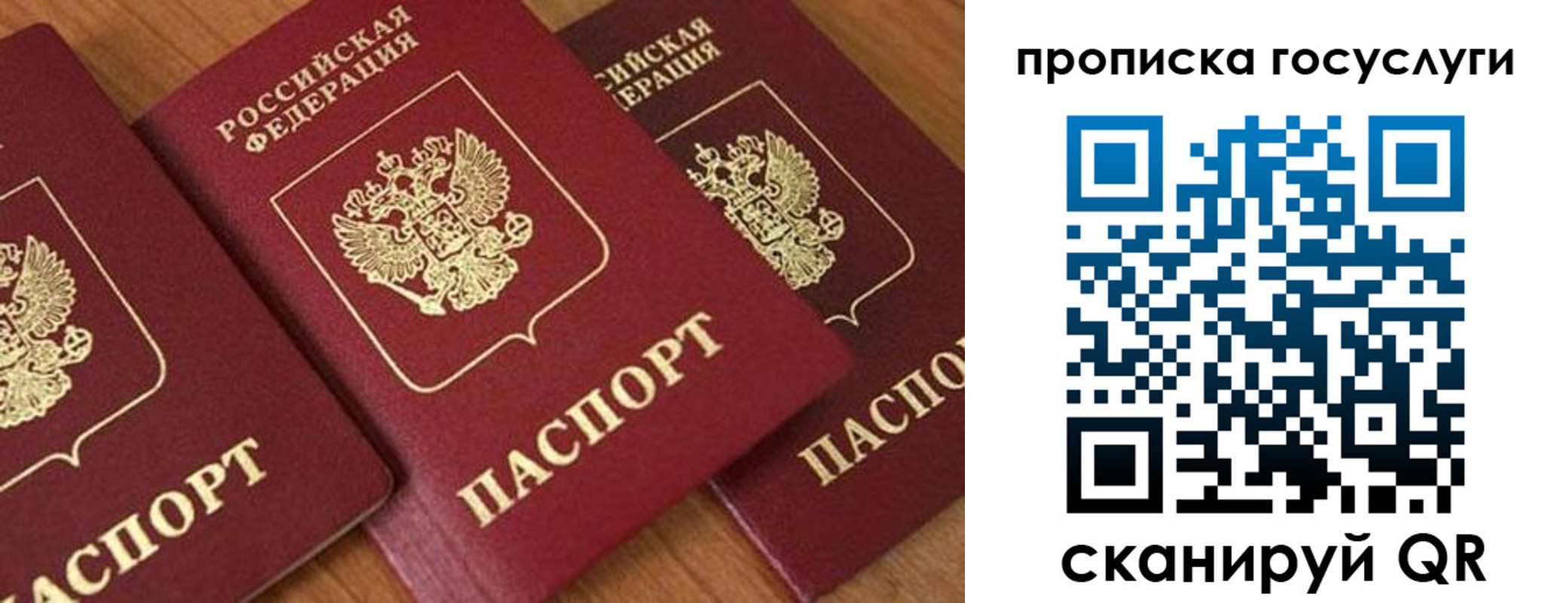 временная прописка в Камышлове